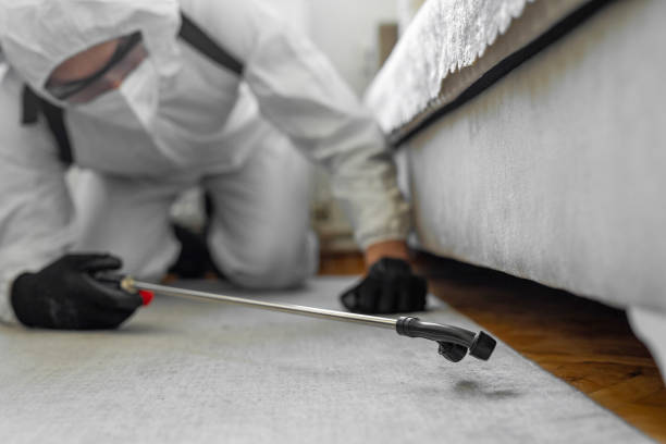 Professional Bed Bug Control technician working in Abingdon, IL